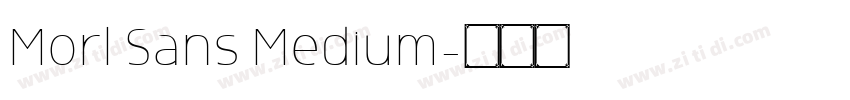 Morl Sans Medium字体转换